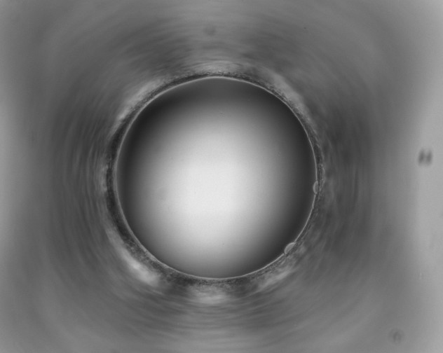 X0000091850106200709051155