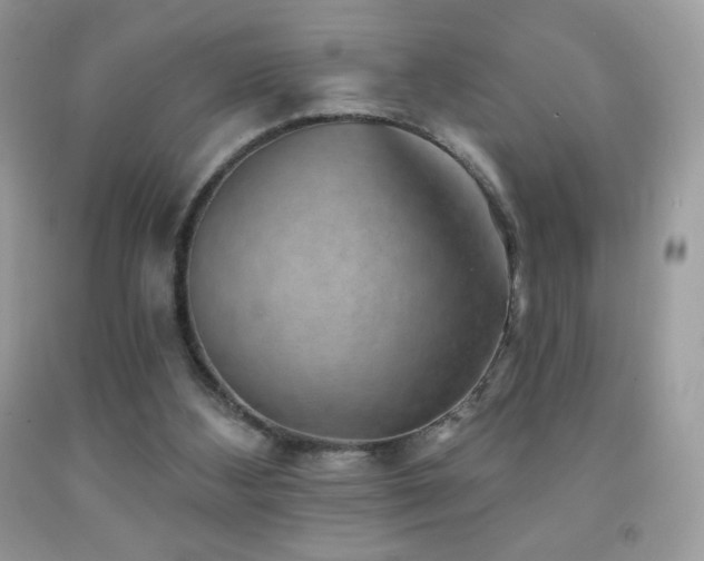 X0000091850108200709051155