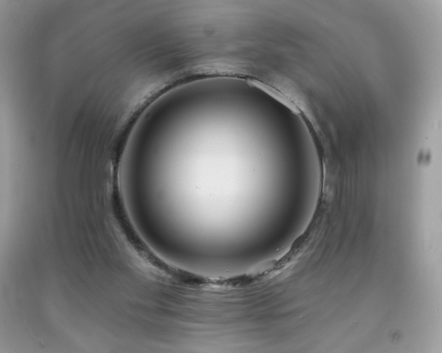 X0000091850109200709051155