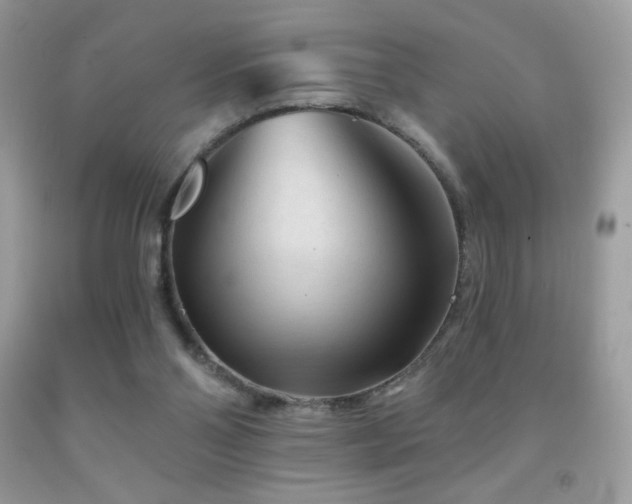 X0000091850110200709051155