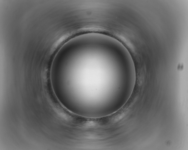 X0000091850111200709051155