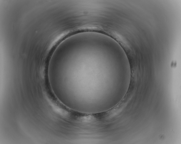 X0000091850112200709051155