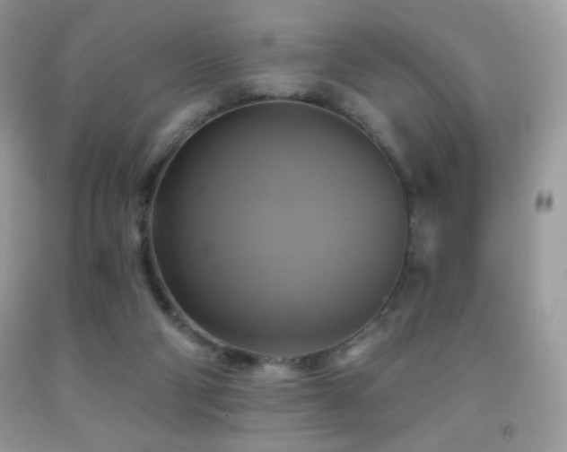 X0000091850114200709051154