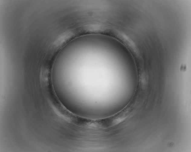 X0000091850115200709051154