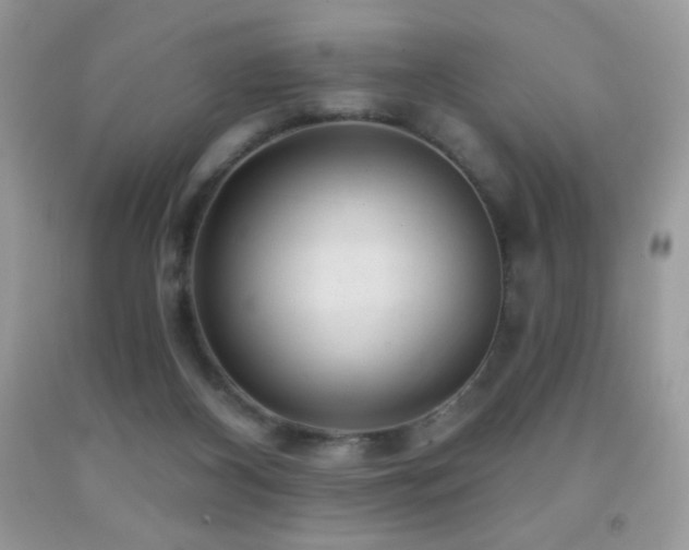 X0000091850116200709051154