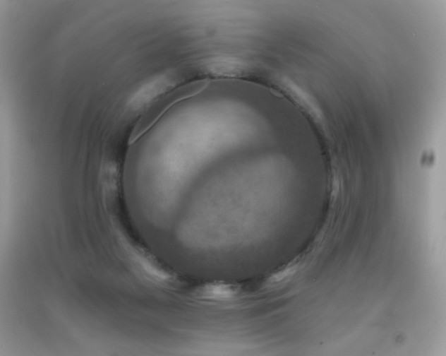 X0000091850117200709051154