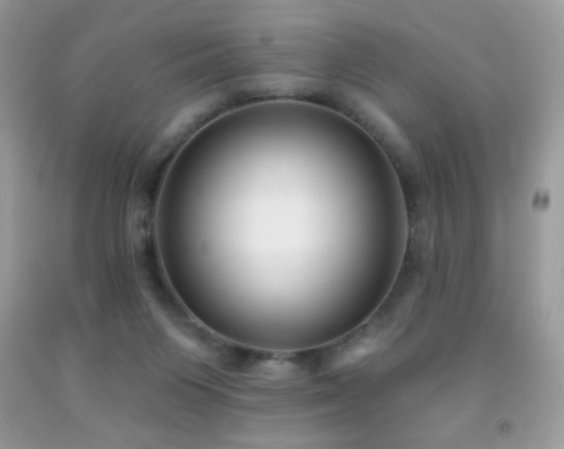 X0000091850119200709051154