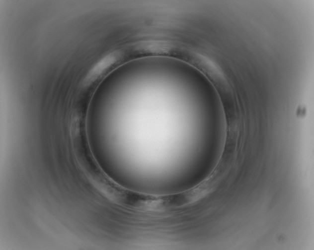 X0000091850120200709051154