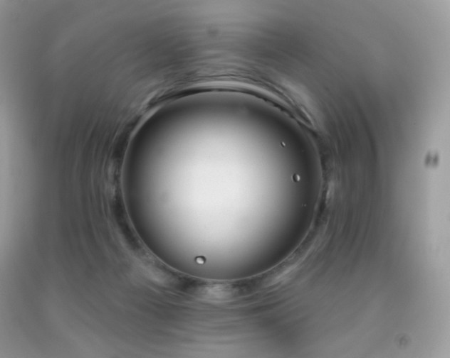 X0000091850121200709051154