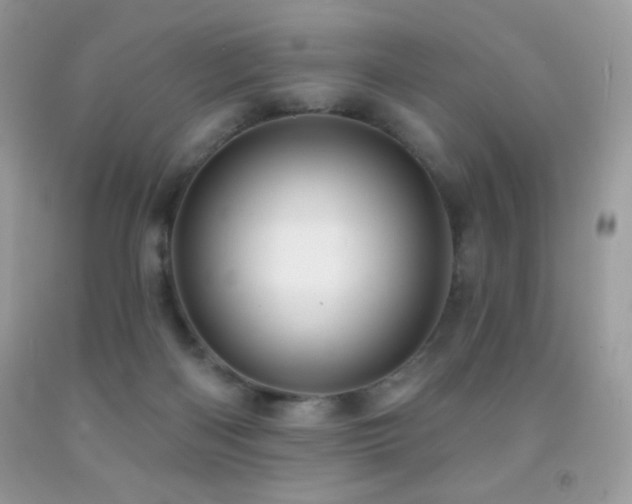 X0000091850122200709051154