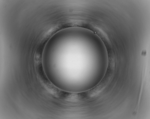 X0000091850123200709051154