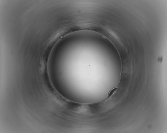 X0000091850124200709051154