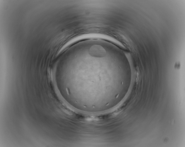 X0000091850125200709051154