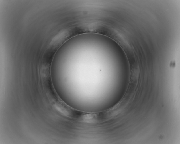 X0000091850126200709051154