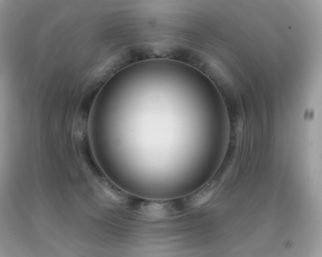 X0000091850129200709051154