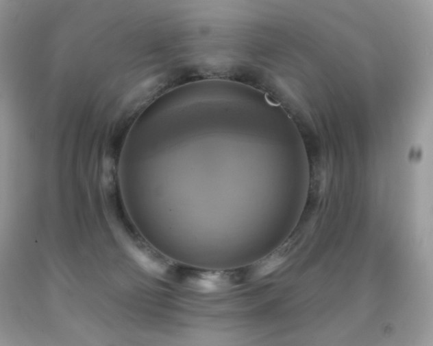 X0000091850130200709051154