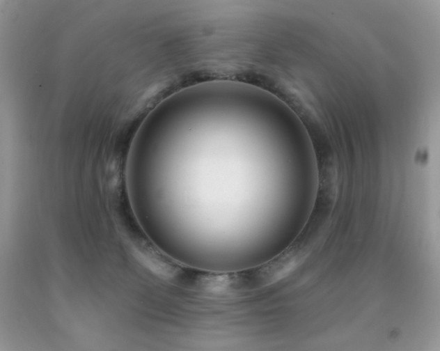 X0000091850131200709051154