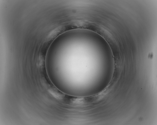 X0000091850132200709051154