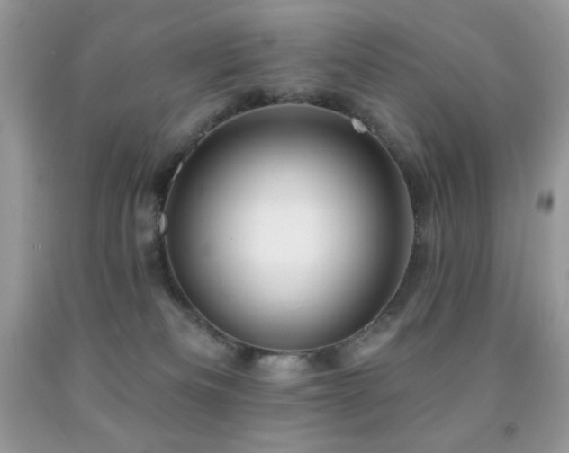 X0000091850133200709051154
