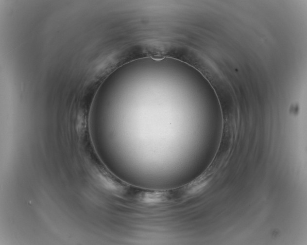 X0000091850134200709051154
