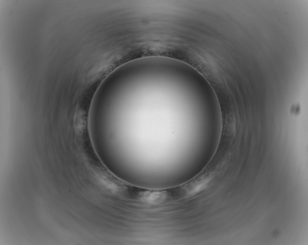 X0000091850135200709051154