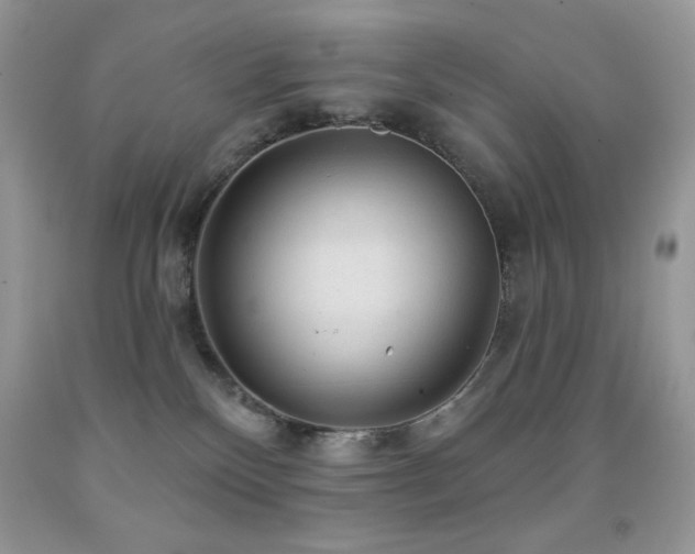 X0000091850136200709051154