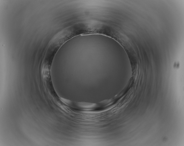 X0000091850137200709051154
