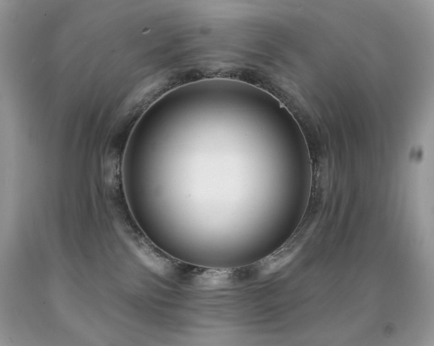 X0000091850138200709051154