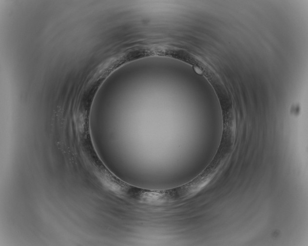 X0000091850139200709051154