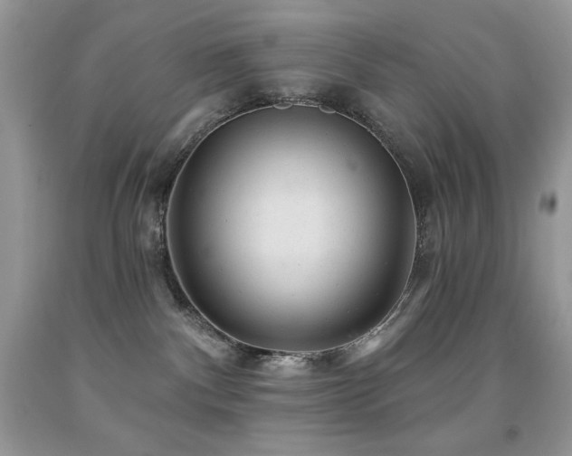 X0000091850140200709051154