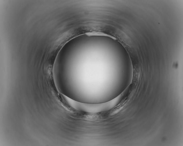 X0000091850141200709051154