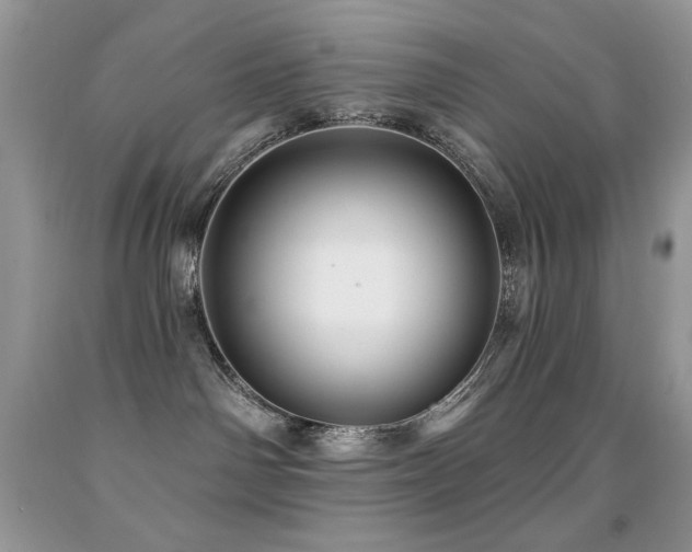 X0000091850142200709051154