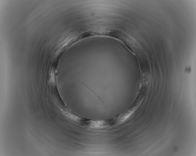 X0000091850143200709051154