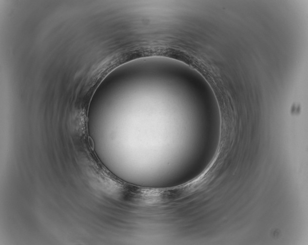 X0000091850144200709051154