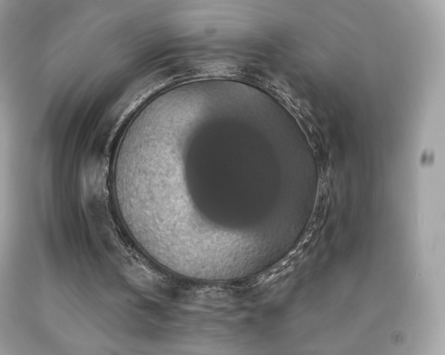 X0000091850146200709051154