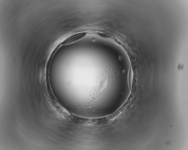 X0000091850148200709051154