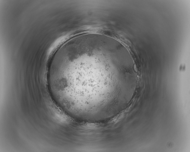 X0000091850149200709051154