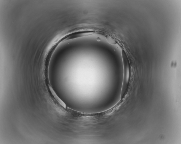 X0000091850150200709051154