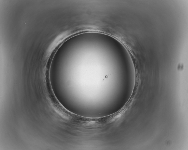 X0000091850151200709051154