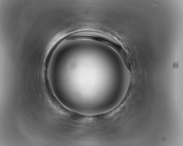 X0000091850152200709051154