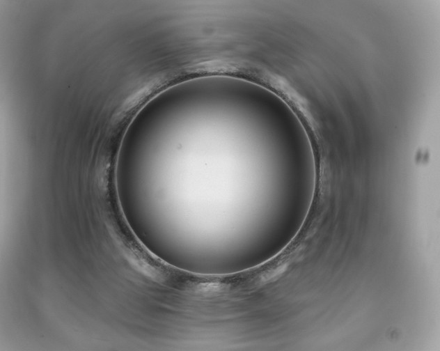 X0000091850153200709051154