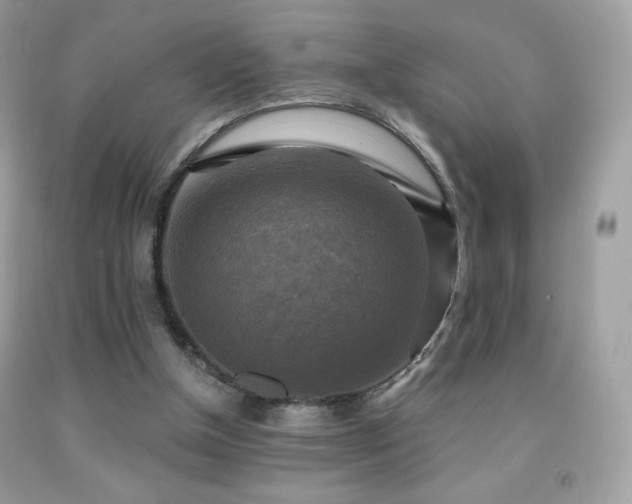 X0000091850154200709051154