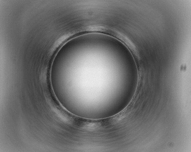 X0000091850155200709051154