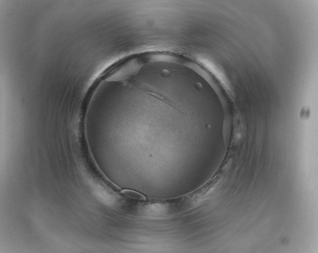X0000091850156200709051154