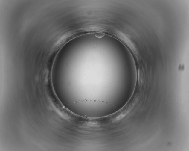 X0000091850157200709051154