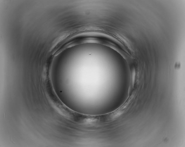 X0000091850158200709051154