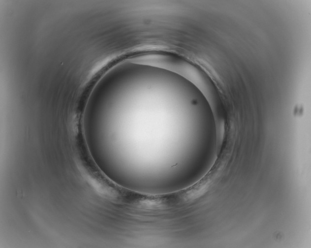 X0000091850160200709051154