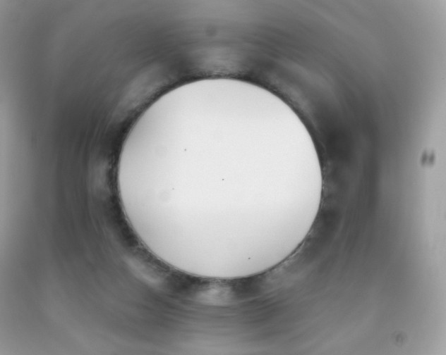 X0000091850162200709051154