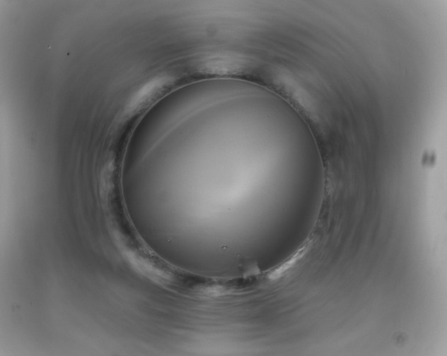 X0000091850163200709051154