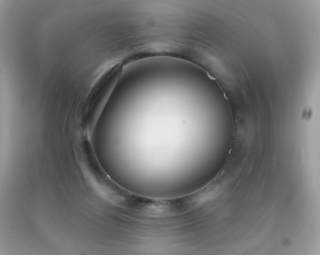X0000091850164200709051154